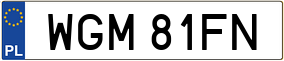 Trailer License Plate